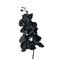Orquídeas phalaenopsis artificiales de 47" x 5" para bodas y eventos - Negro
