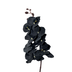 Orquídeas phalaenopsis artificiales de 47" x 5" para bodas y eventos - Negro
