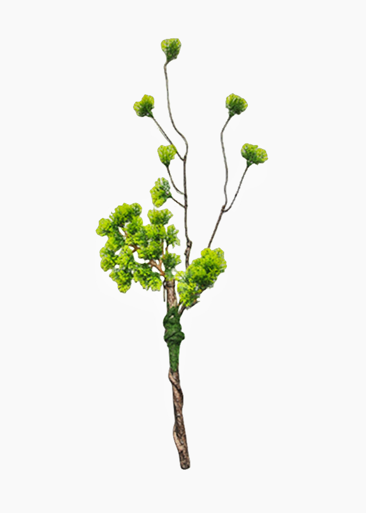 Ramas de pino artificiales de 15" x 6" 5 piezas para bodas y eventos - Dark rojo