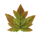 Hojas de arce artificiales de 4" x 3" 50 piezas para bodas y eventos