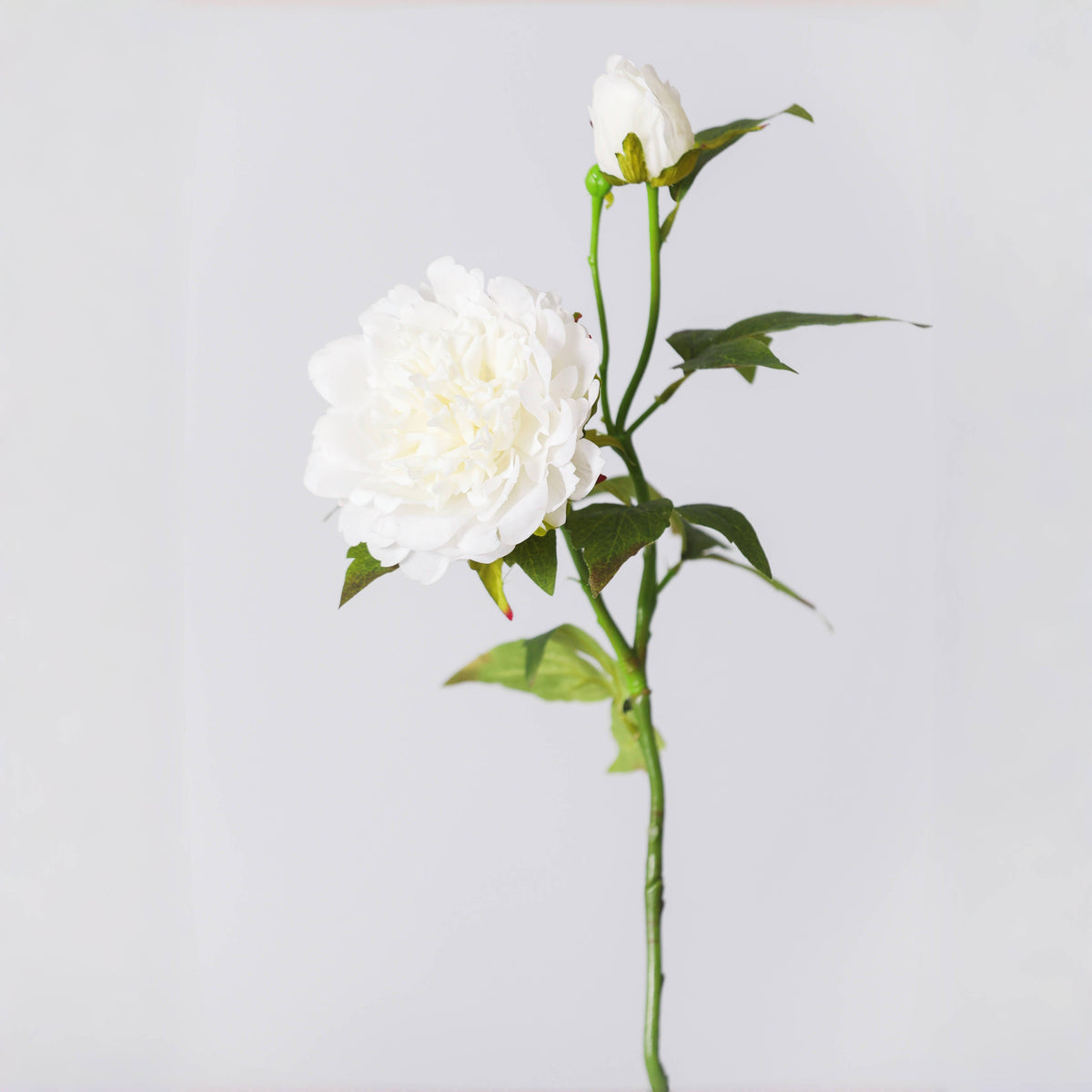 Peonías artificiales con tacto real de 25.6" para bodas y eventos