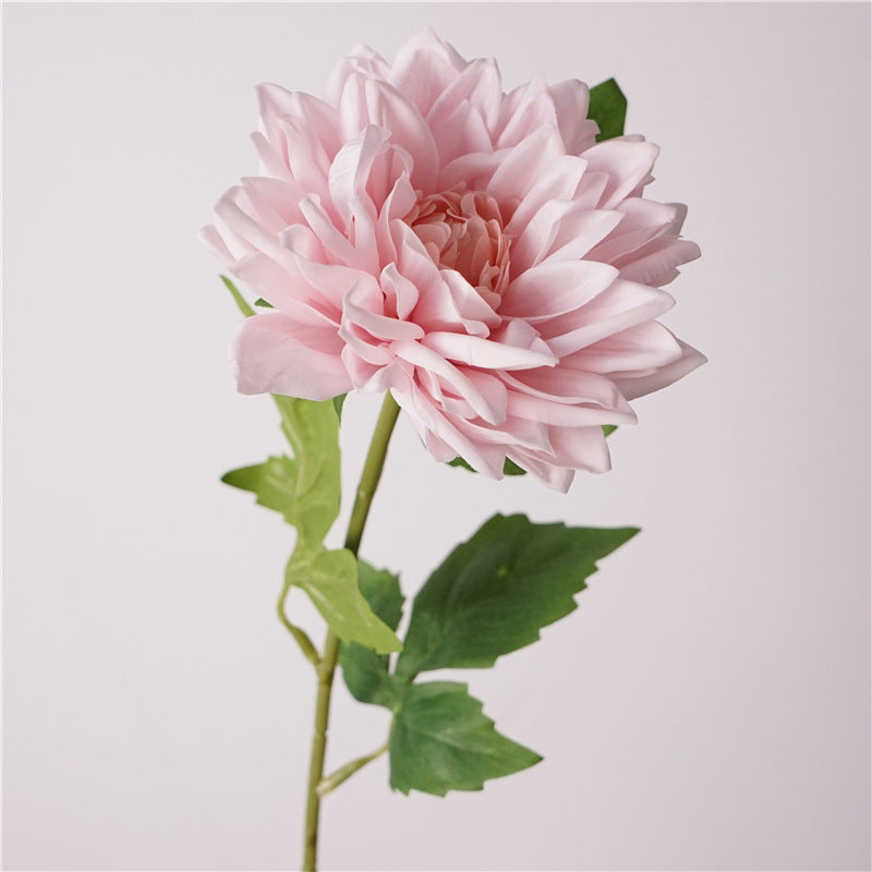 Dalias artificiales con tacto real de 20" x 4" para bodas y eventos - Champán rosa