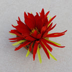 Cabezas de flores artificiales de 6" x 8" para bodas y eventos