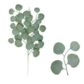 Eucalipto artificial de 26" x 15" para bodas y eventos - Bright verde willow