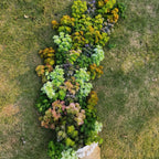 Arbusto artificial con resistencia a los rayos UV de 12" x 12" 8 piezas para jardín, balcón y terraza - Blanco